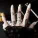 carnal-heart-bat-baby-spider-web-coffin-and-bone-silver-rings-mix-hellaholics